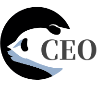 CEO资讯