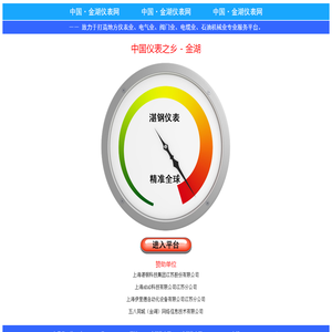 金湖仪表网