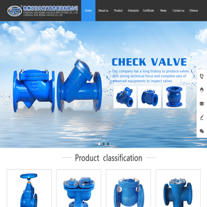 CHIZHOU SUN RISING VALVE & PIPE FITTING CO., LTD