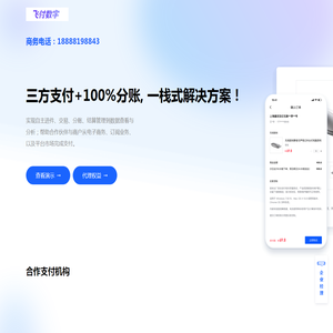 第三方支付聚合平台_第三方支付聚合_第三方支付渠道-飞付数字