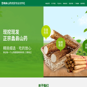 蠡县登峰麻山药农民专业合作社_食品