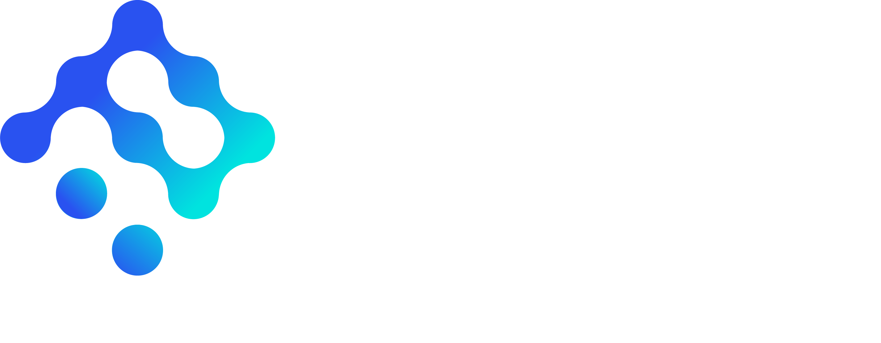 鹏智瑞-快消企业数字化解决方案服务商