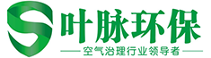 成都除甲醛_新都甲醛治理_室内空气治理-四川叶脉环保科技有限公司