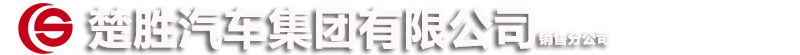 楚胜汽车集团有限公司销售分公司