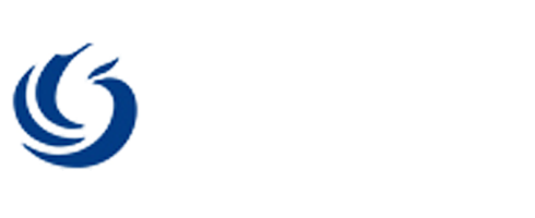 常州网站制作-常州网站建设-百度SEO服务商公司-鲁盘科技