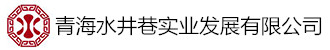 青海水井巷实业发展有限公司