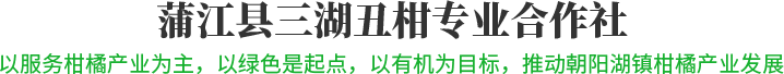 蒲江县三湖丑柑专业合作社丨丑柑丨春见丨猕猴桃