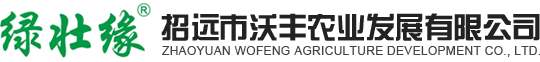 秋月梨批发商_秋月梨基地_莱阳秋月梨厂家_招远市沃丰农业发展有限公司